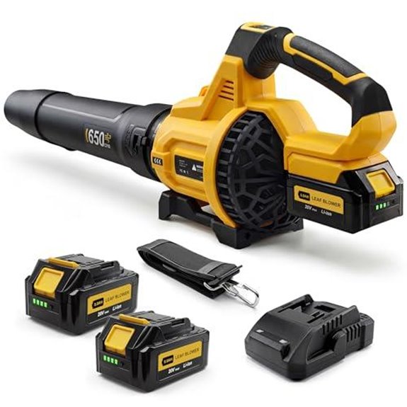 cordless leaf blower 2 batteries