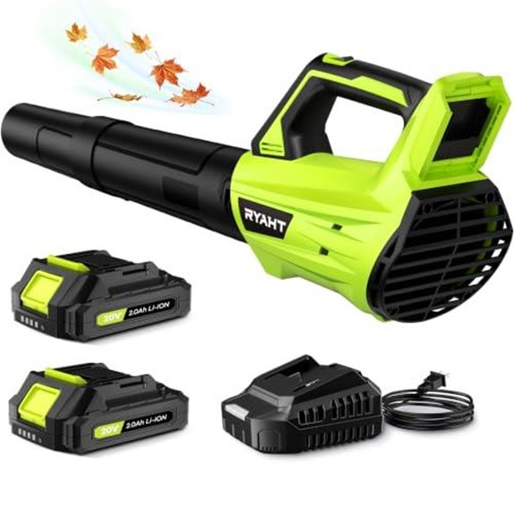 cordless leaf blower set