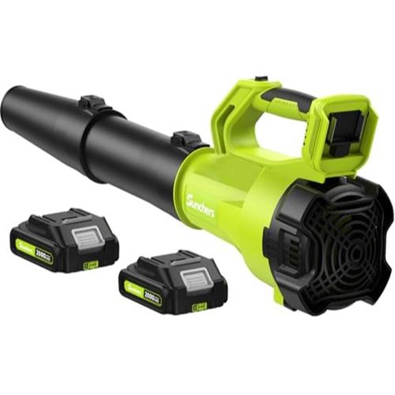 cordless leaf blower with two batteries