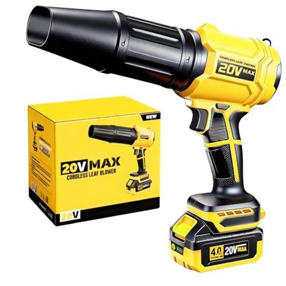 dewalt 20v max blower set