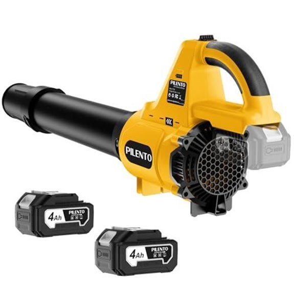 lightweight cordless blower with batteries