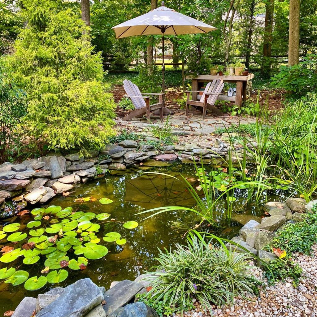 A stone-lined backyard pond with green lily pads and surrounding garden plants and trees.