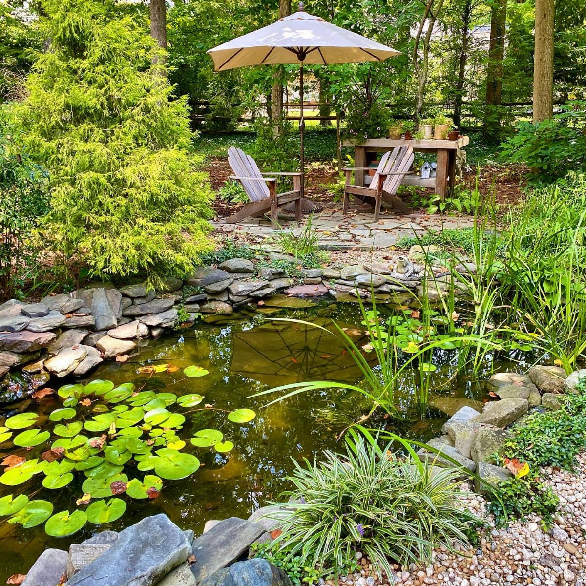A stone-lined backyard pond with green lily pads and surrounding garden plants and trees.
